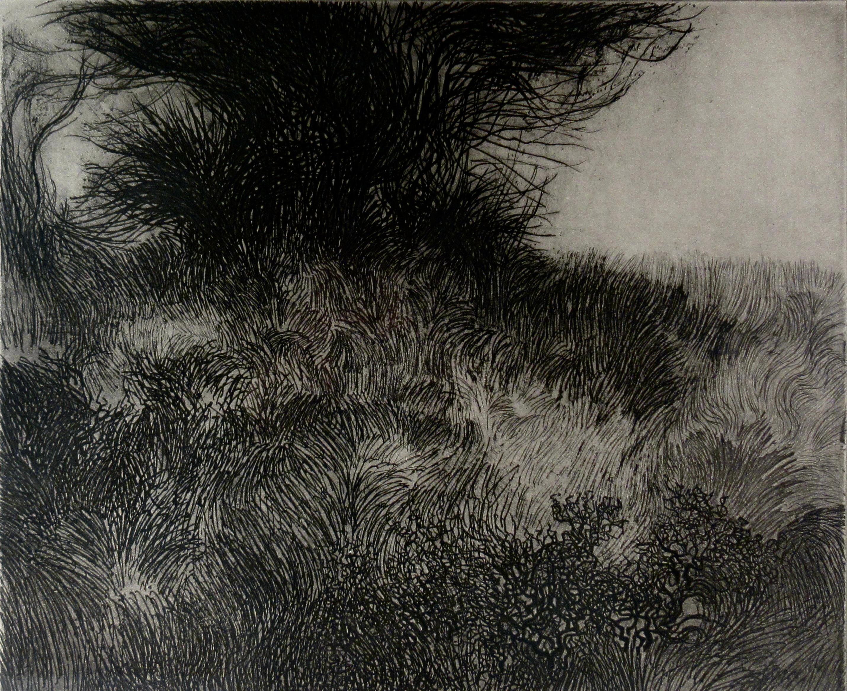 Paesaggio estivo III - Print American Modern di Peter Milton