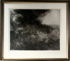 Impresiones de paisajes modernos