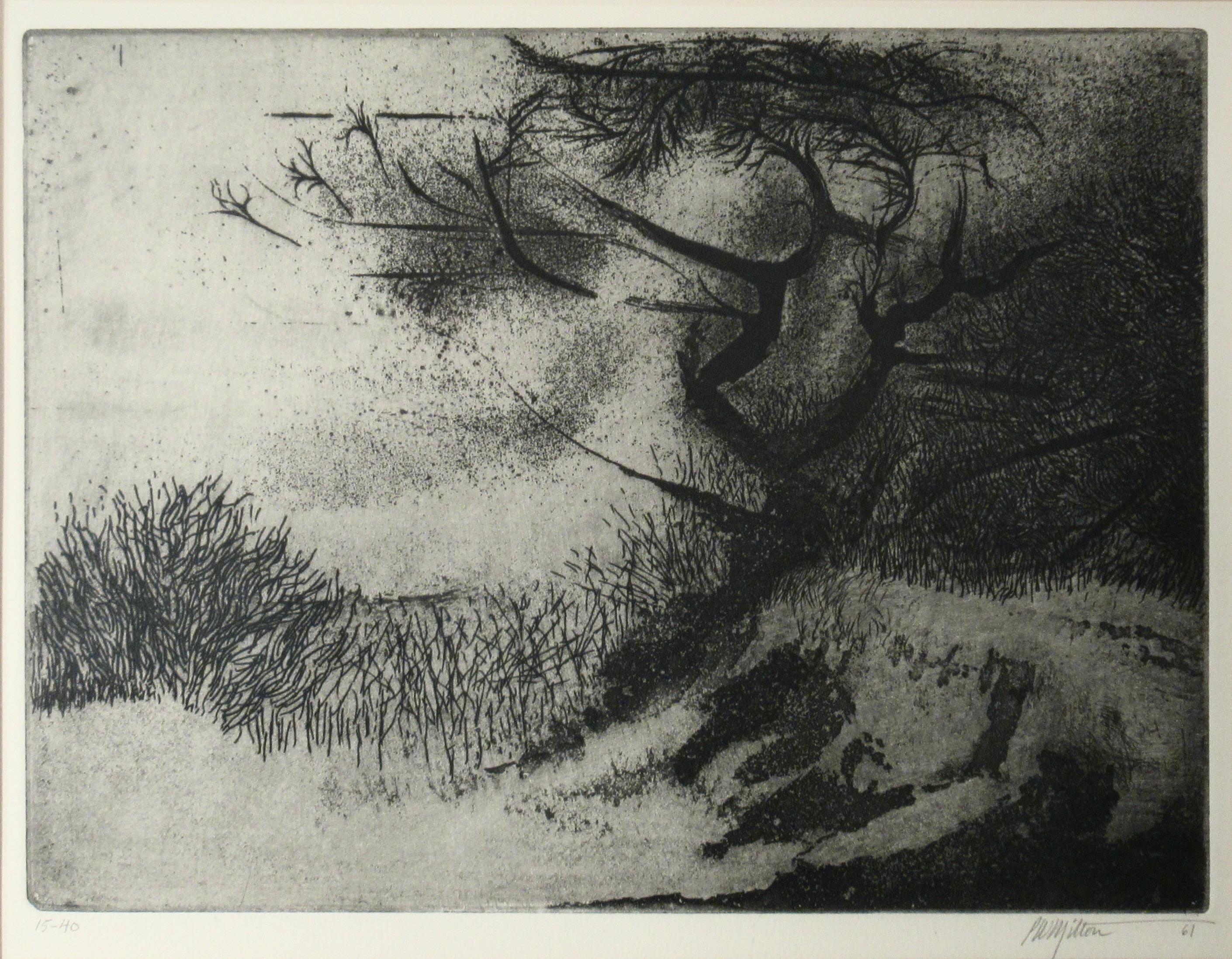 Alberi e neve II - Print di Peter Milton