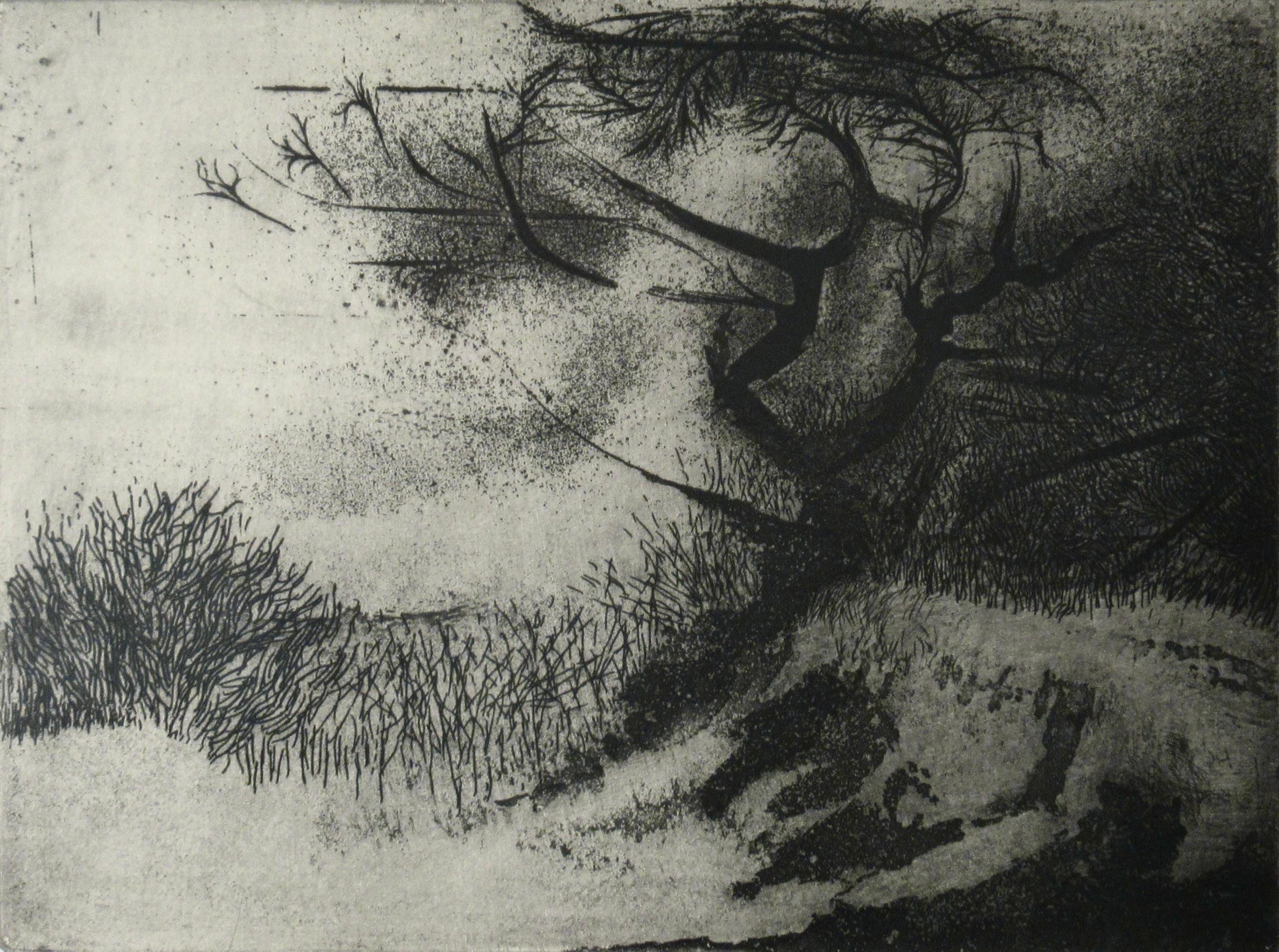 Alberi e neve II - Print American Modern di Peter Milton