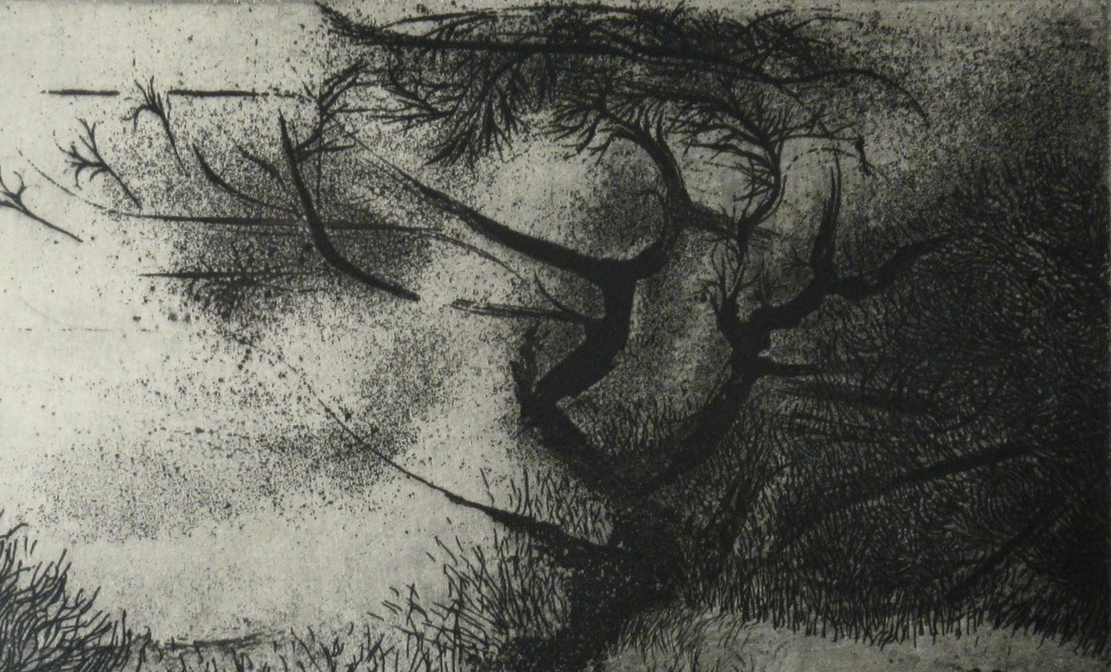 Alberi e neve II - Landscape Print Grigio di Peter Milton