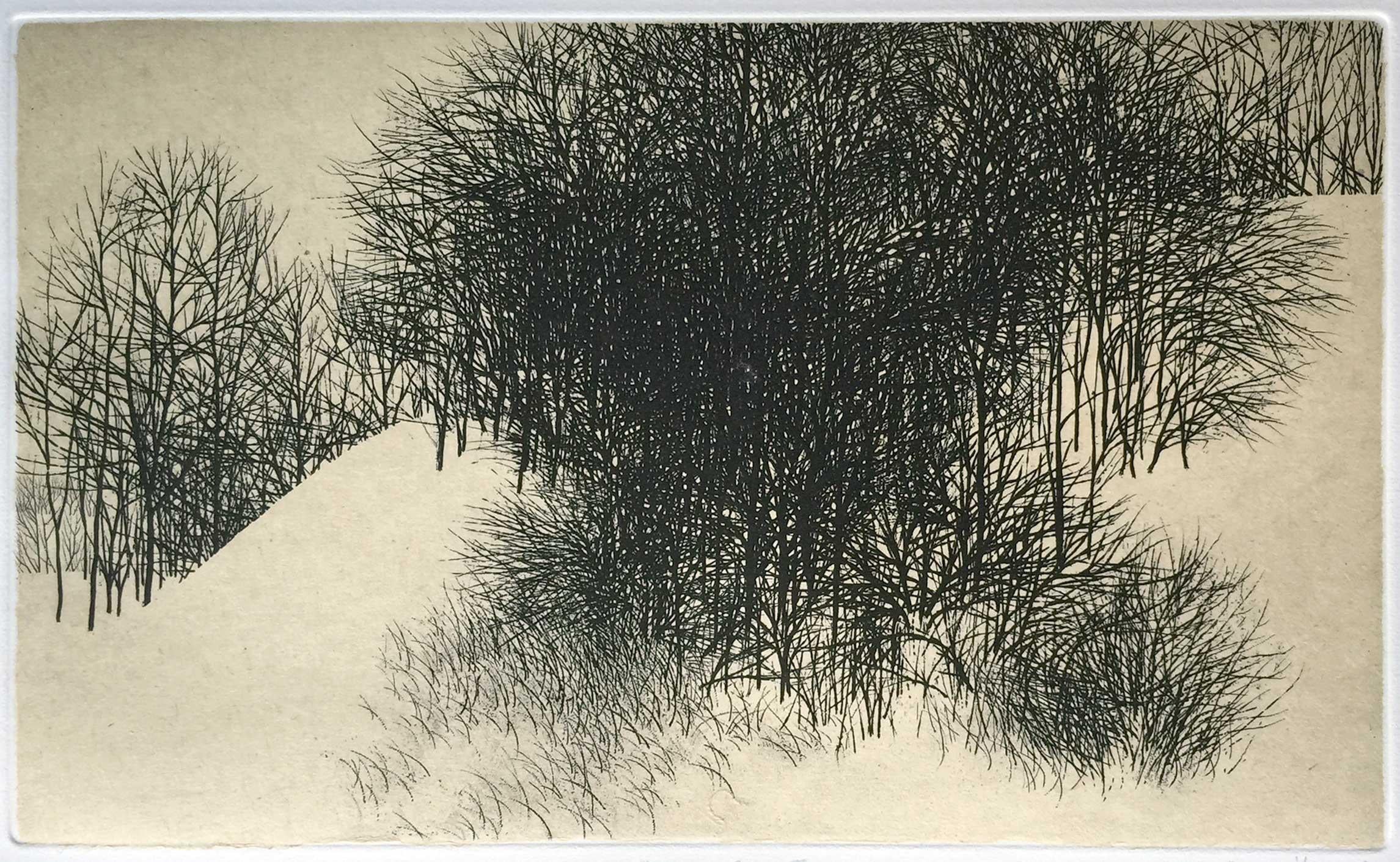 Bäume und Schnee II, von Peter Milton