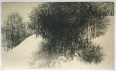 Bäume und Schnee II