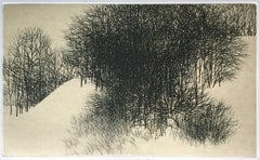 Árboles y nieve II
