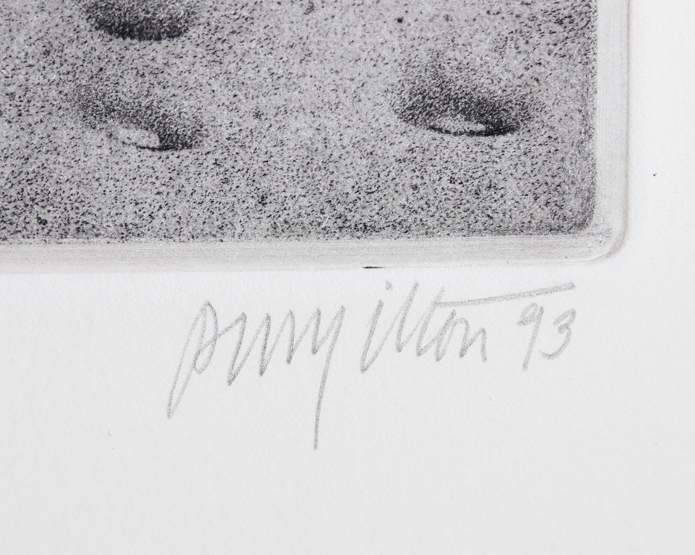 Under Greylock, gravure de Peter Milton en vente 1