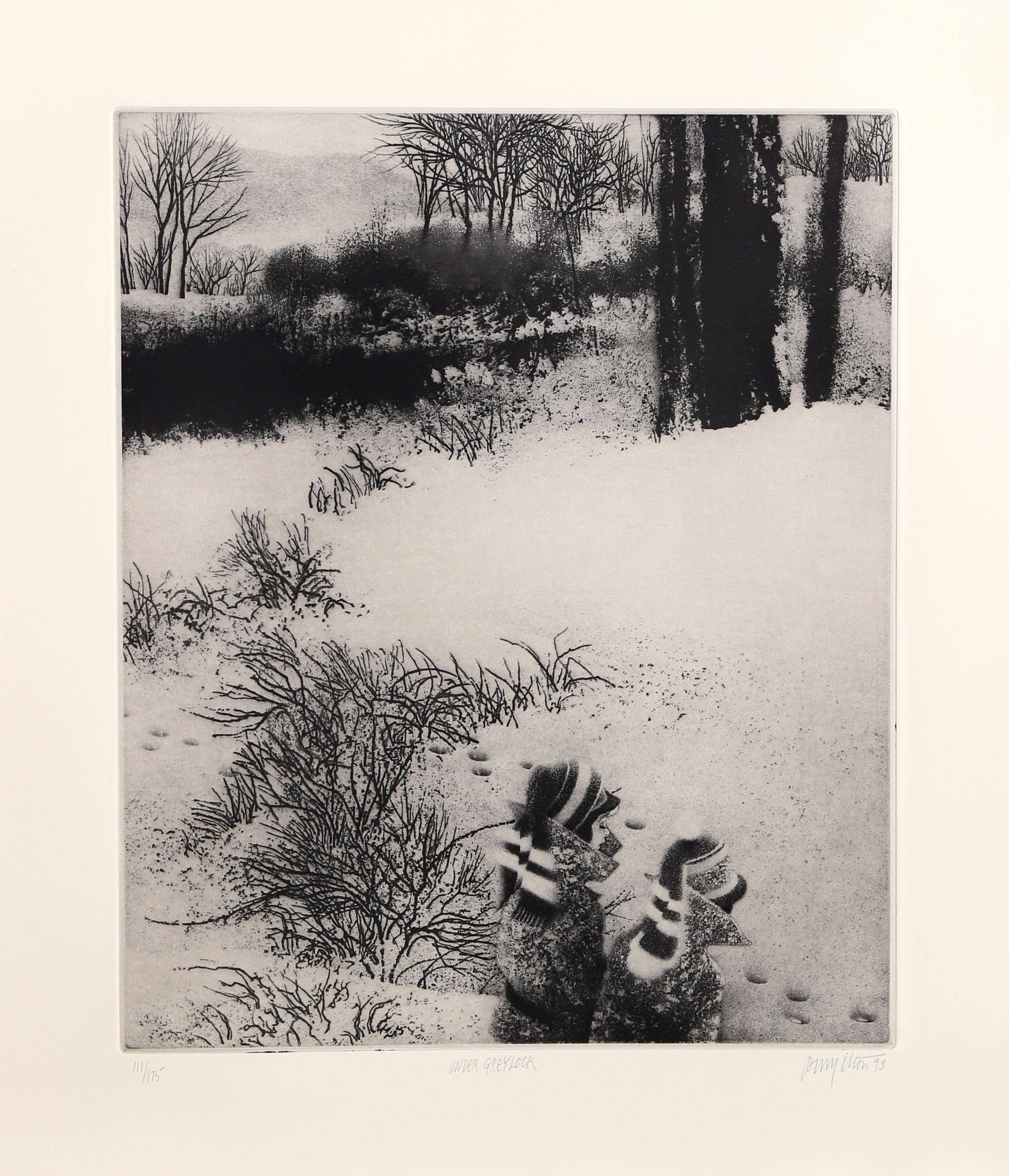 Artist: Peter Milton, American (1930 - )
Title: Under Greylock
Year: 1993
Medium: Intaglio Etching, signed and numbered in pencil
Edition: 175
Image Size: 18.25 x 15 inches
Size: 25 x 21.5 in. (63.5 x 54.61 cm)