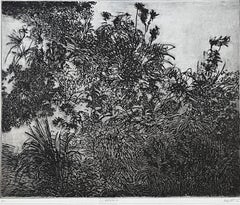 Vegetation I