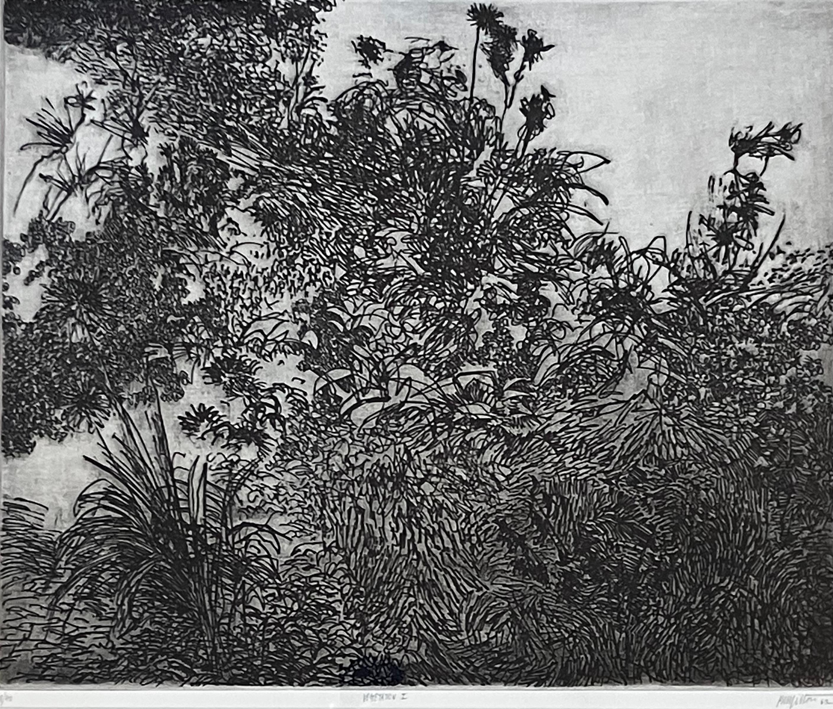 Vegetation I in vendita 2