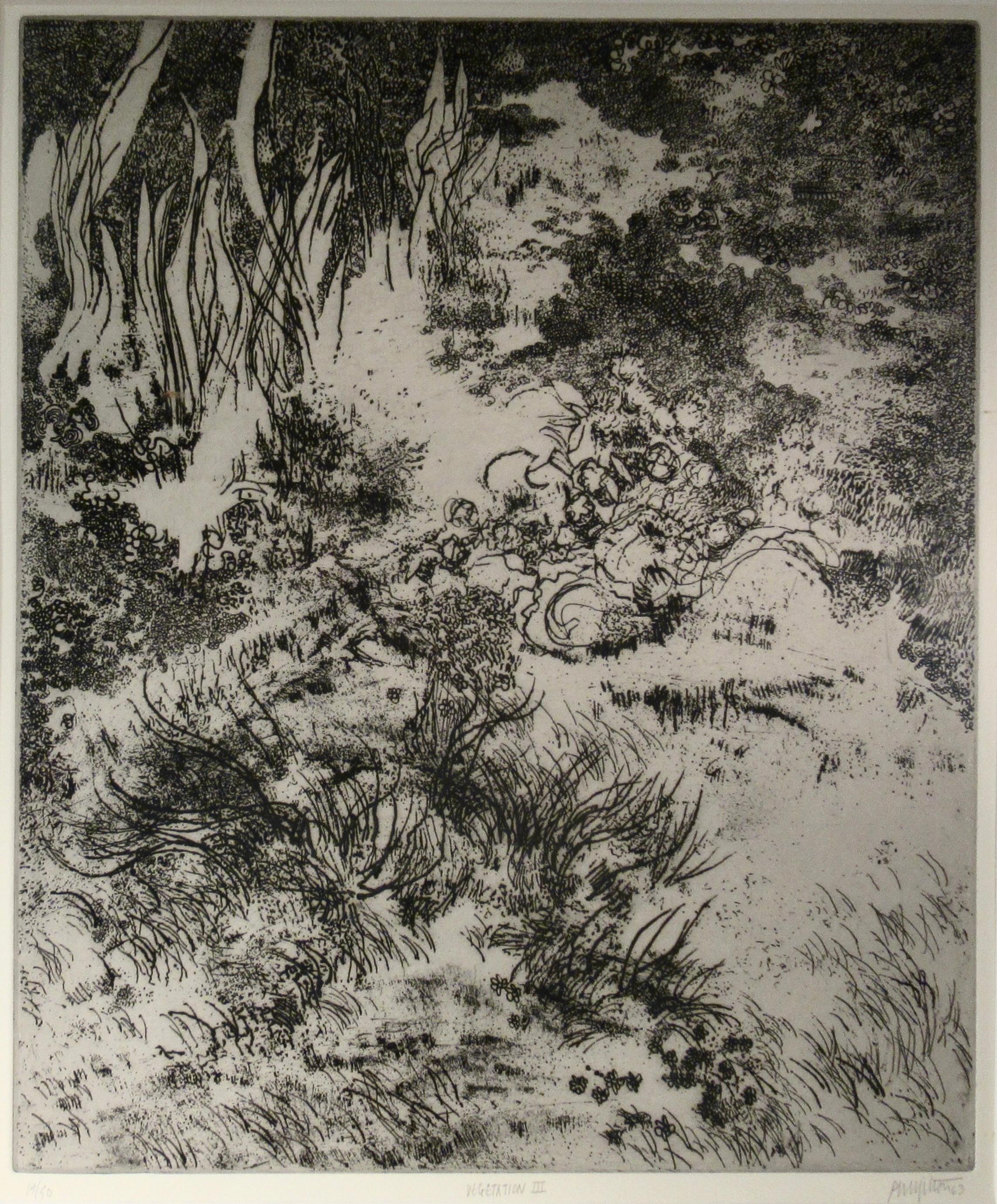 Vegetation III - Print by Peter Milton