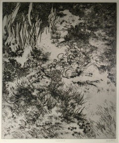 Vegetazione III