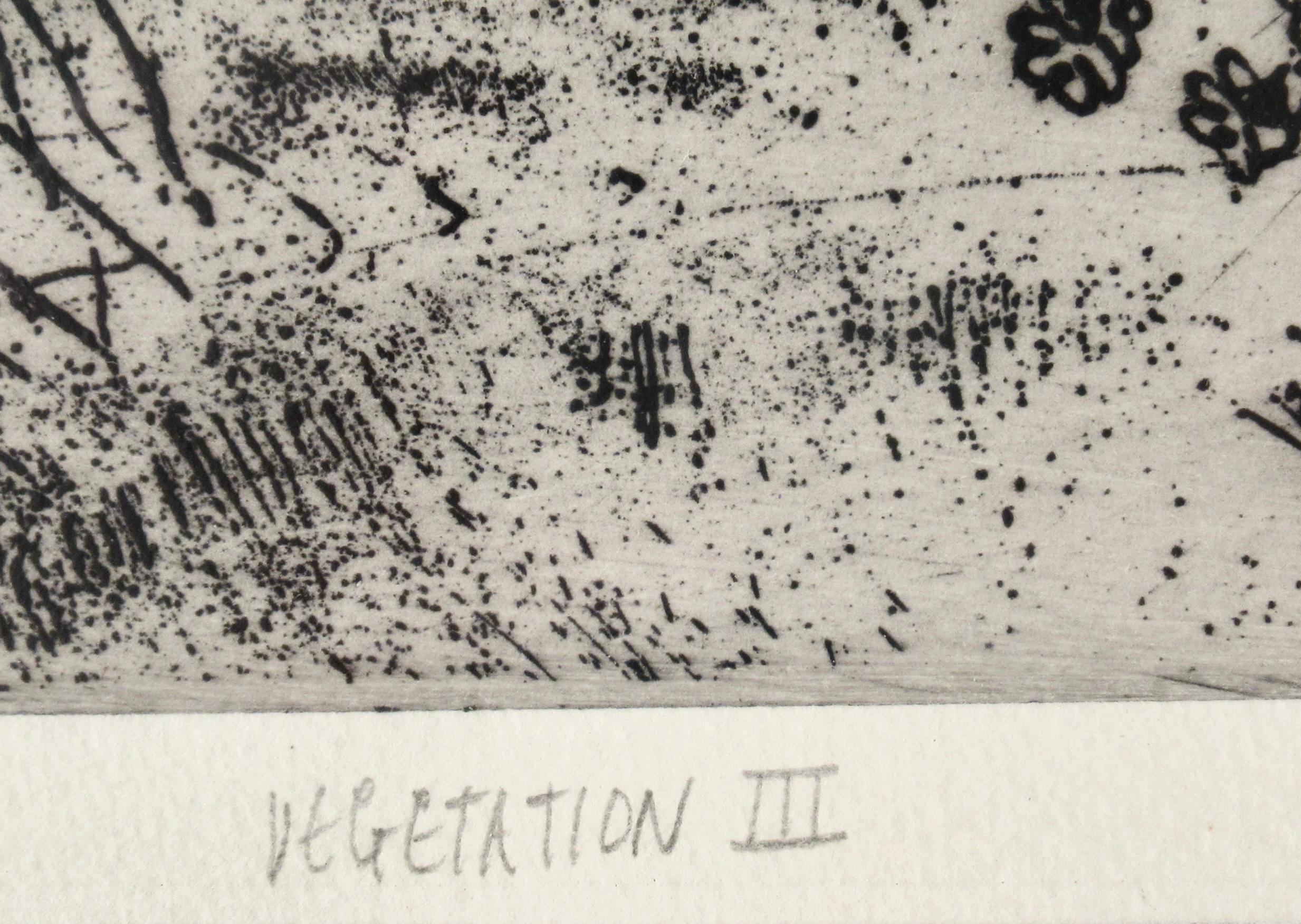 Vegetation III For Sale 2