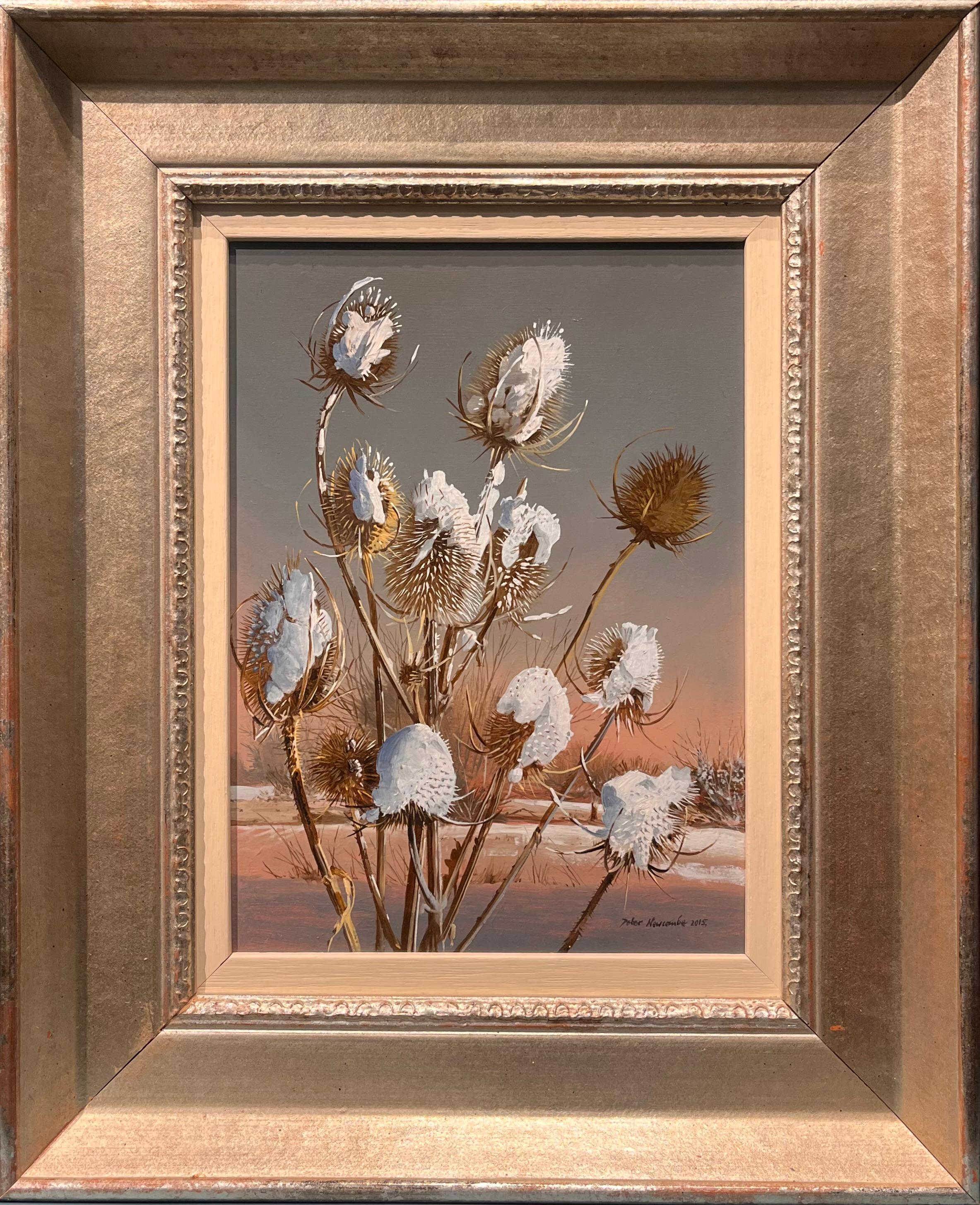Winter Teazels - Painting by Peter Newcombe