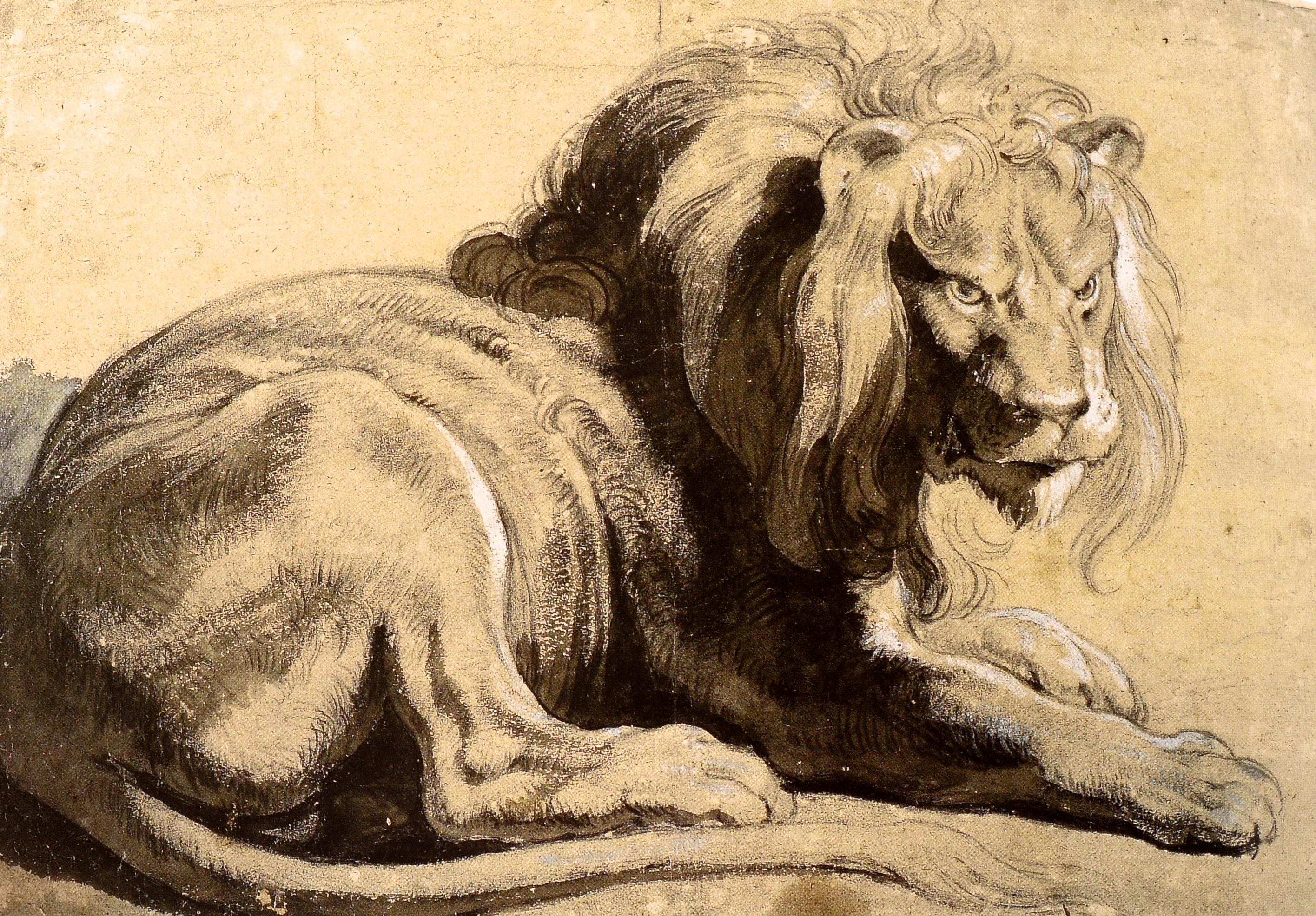 Ausstellungskatalog von Anne Marie Logan: The Drawings von Peter Paul Rubens, 1. Auflage im Angebot 6