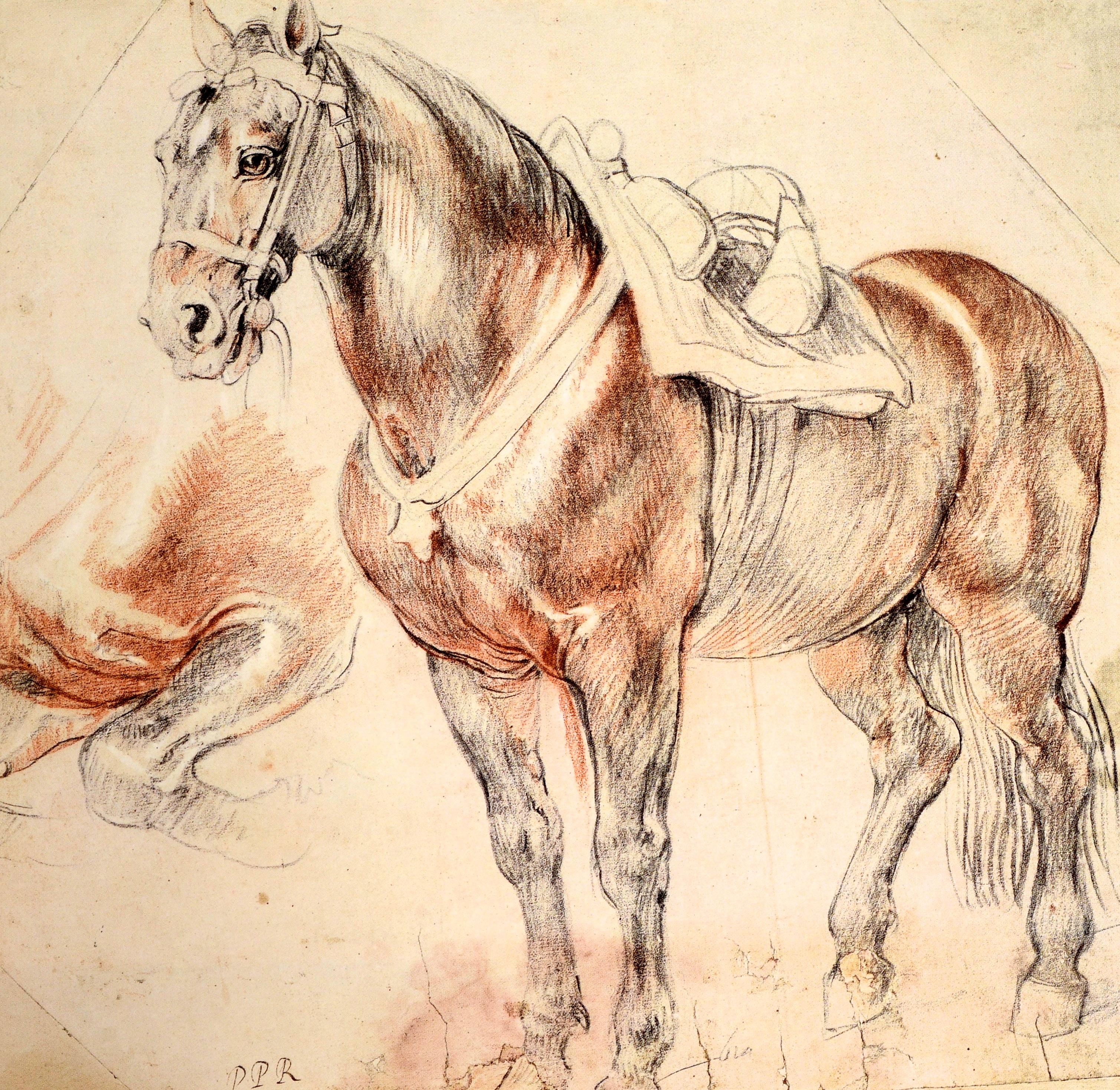Papier Les dessins d'Anne Marie Logan : le catalogue d'exposition de Peter Paul Rubens, 1ère édition en vente