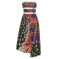 Peter Pilotto Beck Strapless Printed Dress M