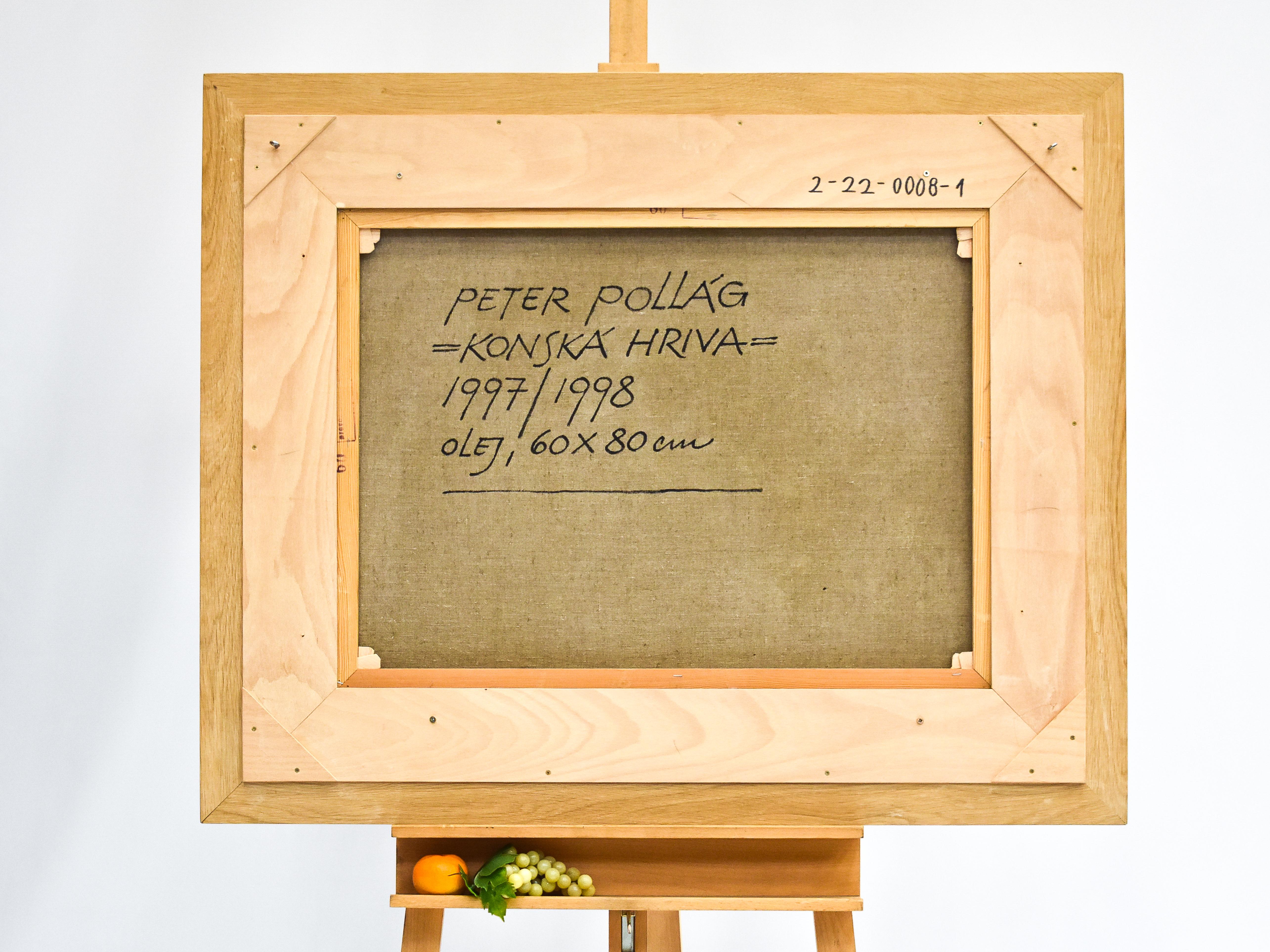 Konská Hriva - Peter Pollág - Original artwork For Sale 4