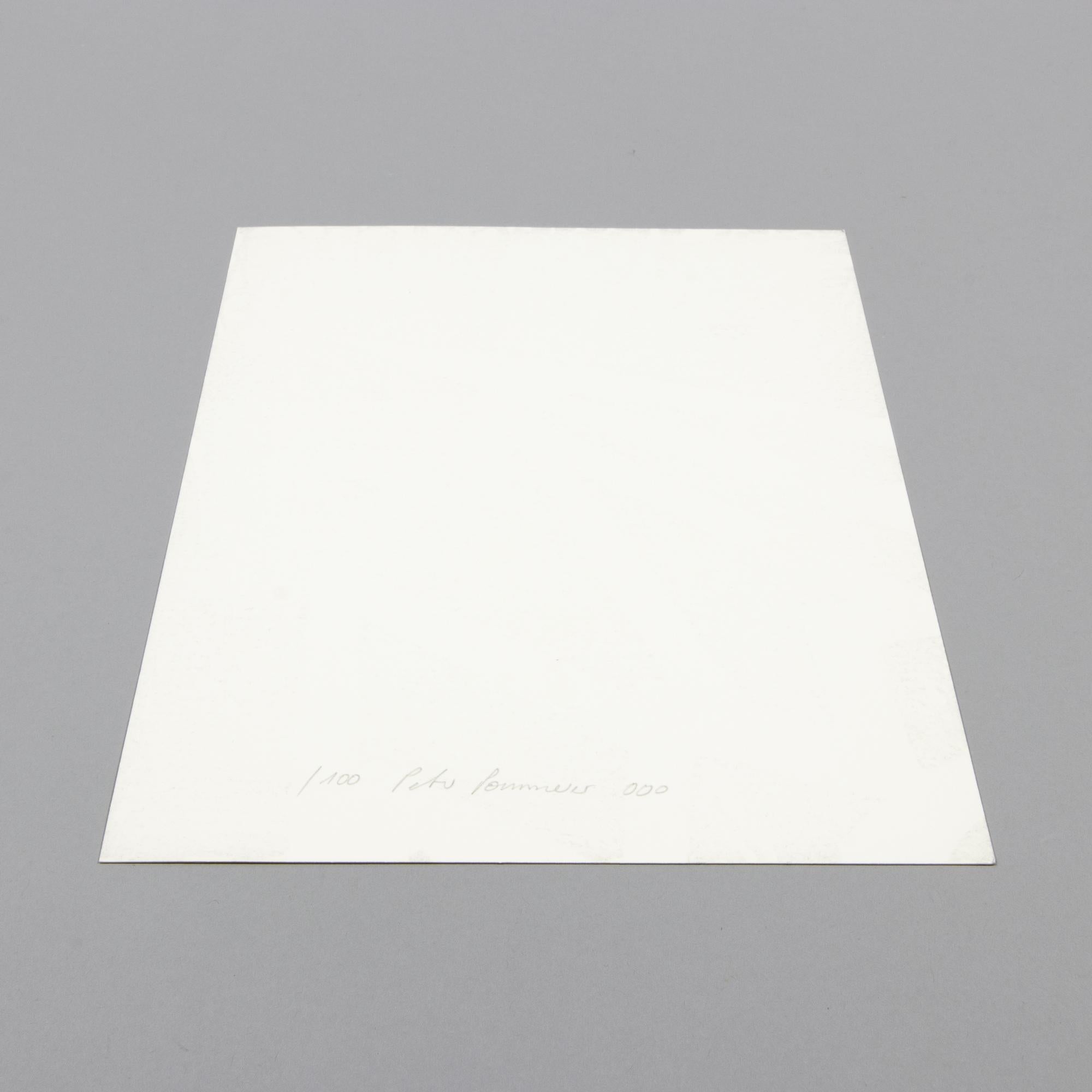 Peter Pommerer, Giraffe with Blue Coloured Eyes - Signed Screenprint 2