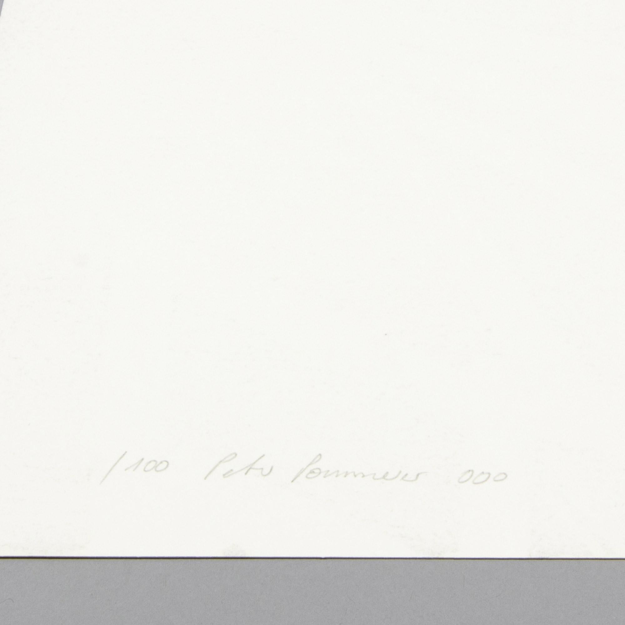 Peter Pommerer, Giraffe with Blue Coloured Eyes - Signed Screenprint 4