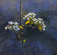 Blossoming Pear Branch