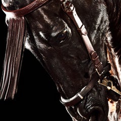 Cavallo 3- Stampa limitata firmata di natura morta, Animale, Contemporaneo, Ritratto quadrato