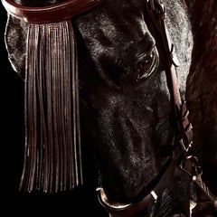 Cavallo 4 - Stampa a pigmenti di qualità archivistica, edizione limitata firmata, 100 cm per lato