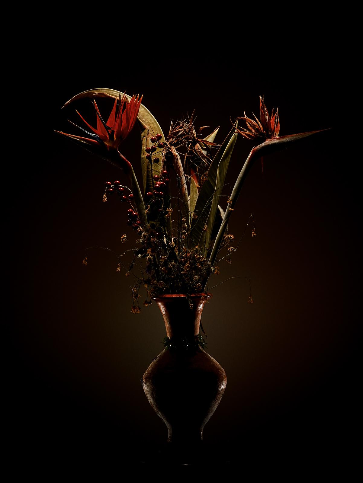 Life and death - Signed limited edition still life fine art print, contemporary  - Contemporary Photograph by Peter Ridge