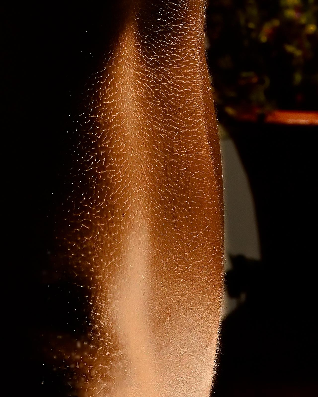 Natura morta e nudo - Stampa d'arte a tiratura limitata firmata, Contemporanea, Modella - Photograph Moderno di Peter Ridge