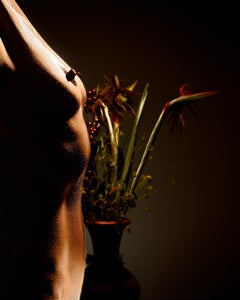 Still life and nude - Signed limited edition archival pigment print, Oversize 