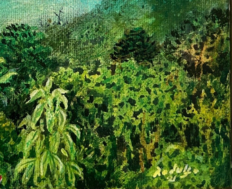 Peter Rodulfo - Trinidad Caribbean Humming Birds Jungle Forest Birds ...