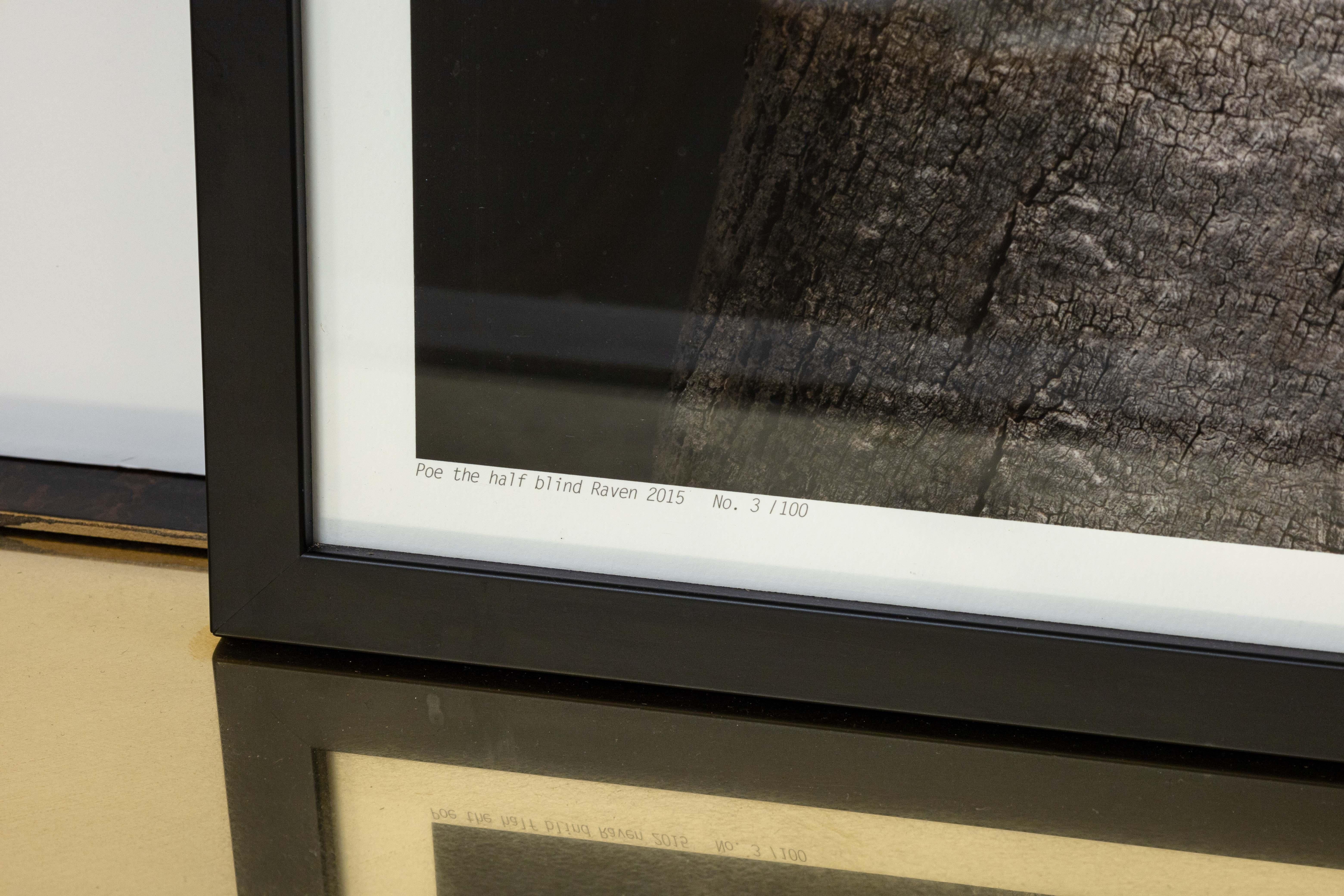Peter Samuels Poe, der halbblinde Rabe Signierte Fotografie 3/100 Gerahmt 2015 im Angebot 1