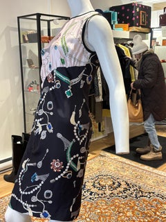 Peter Som Notable Silk Dress from His Pre-Fall 2012 Collection Size 4