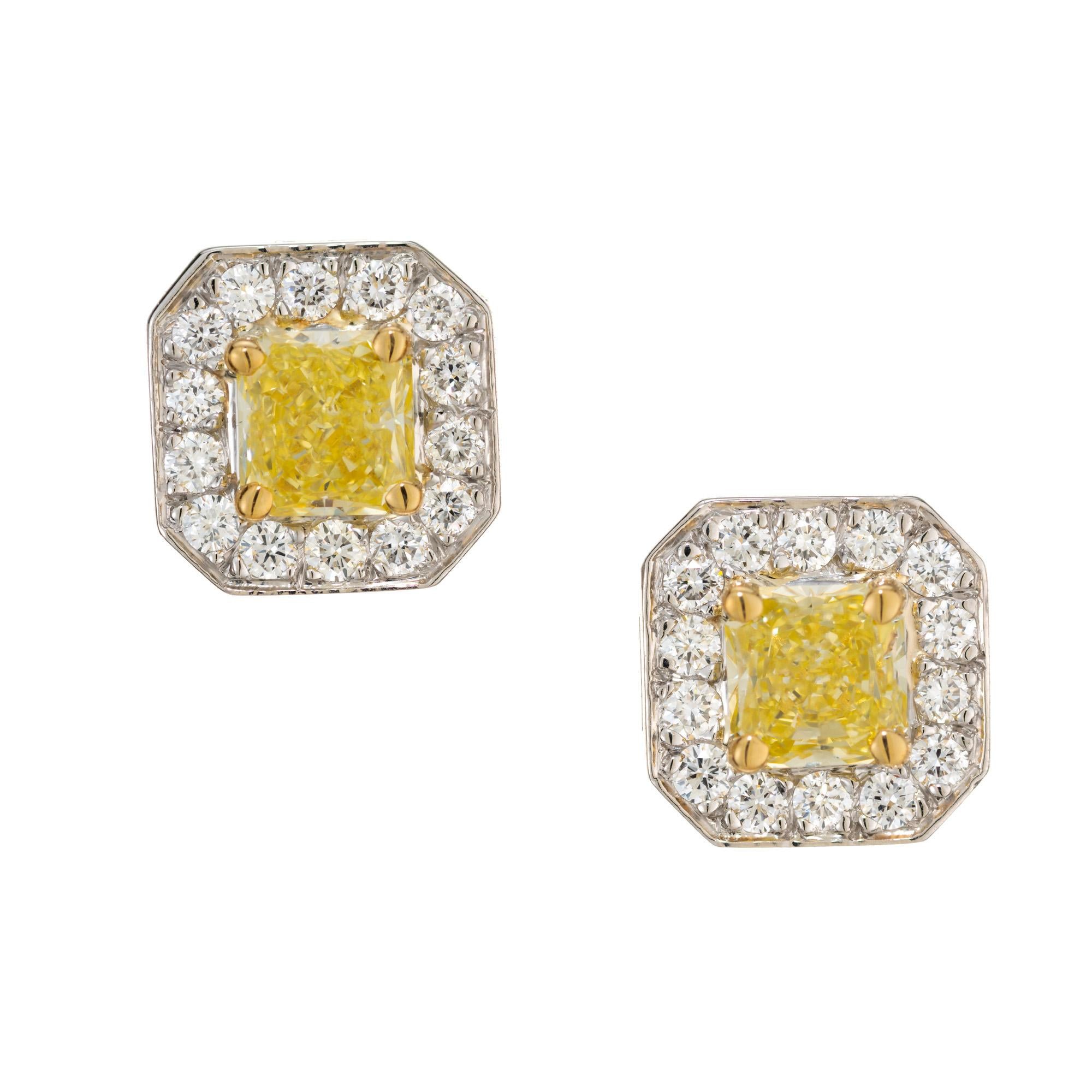 Yellow and white diamond earrings. 2 square cut bright natural fancy yellow diamonds, set in 14k white gold octagonal settings with 18k yellow gold prongs. Each yellow diamond is framed by a halo of 14 round bright white diamonds. These exceptional