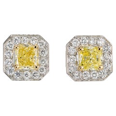 Peter Suchy 1.10 Carat Natural Fancy Yellow Diamond White Gold Halo Earrings