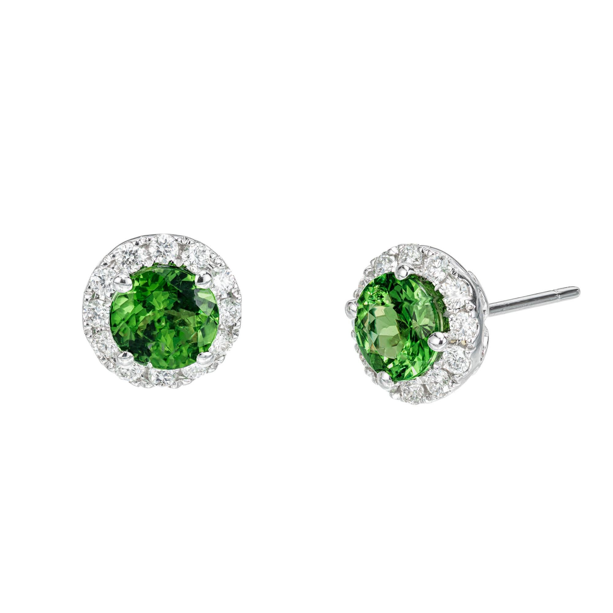 Round bright green tsavorite garnet and diamond earrings. 2 round Tsavorite stones, each with a halo of round brilliant cut diamonds in 14k white  gold. Designed and crafted in the Peter Suchy workshop

2 round tsavorite green garnets, approx.