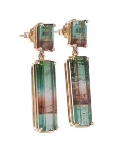 Pendants d'oreilles Peter Suchy en or 14,27 carats et tourmaline