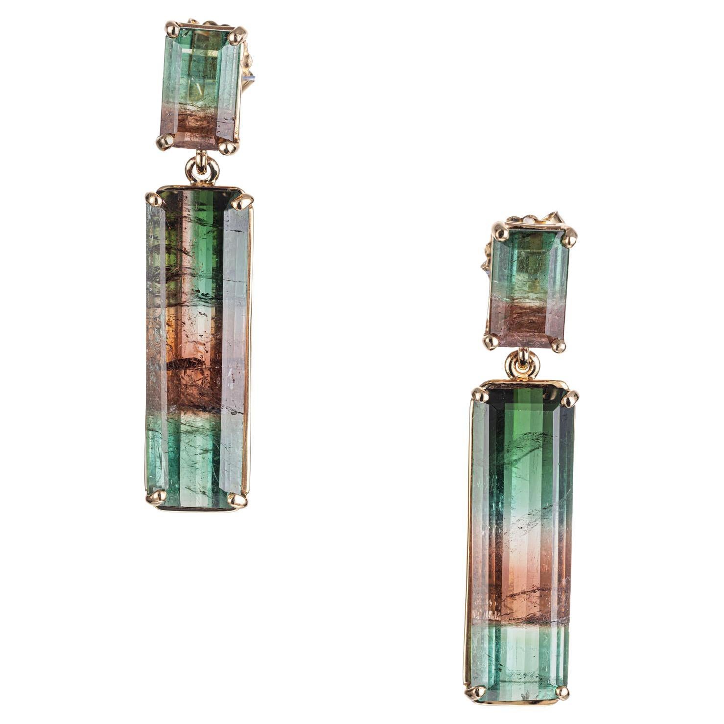 Peter Suchy 14.27 Carat Tourmaline Gold Dangle Earrings For Sale