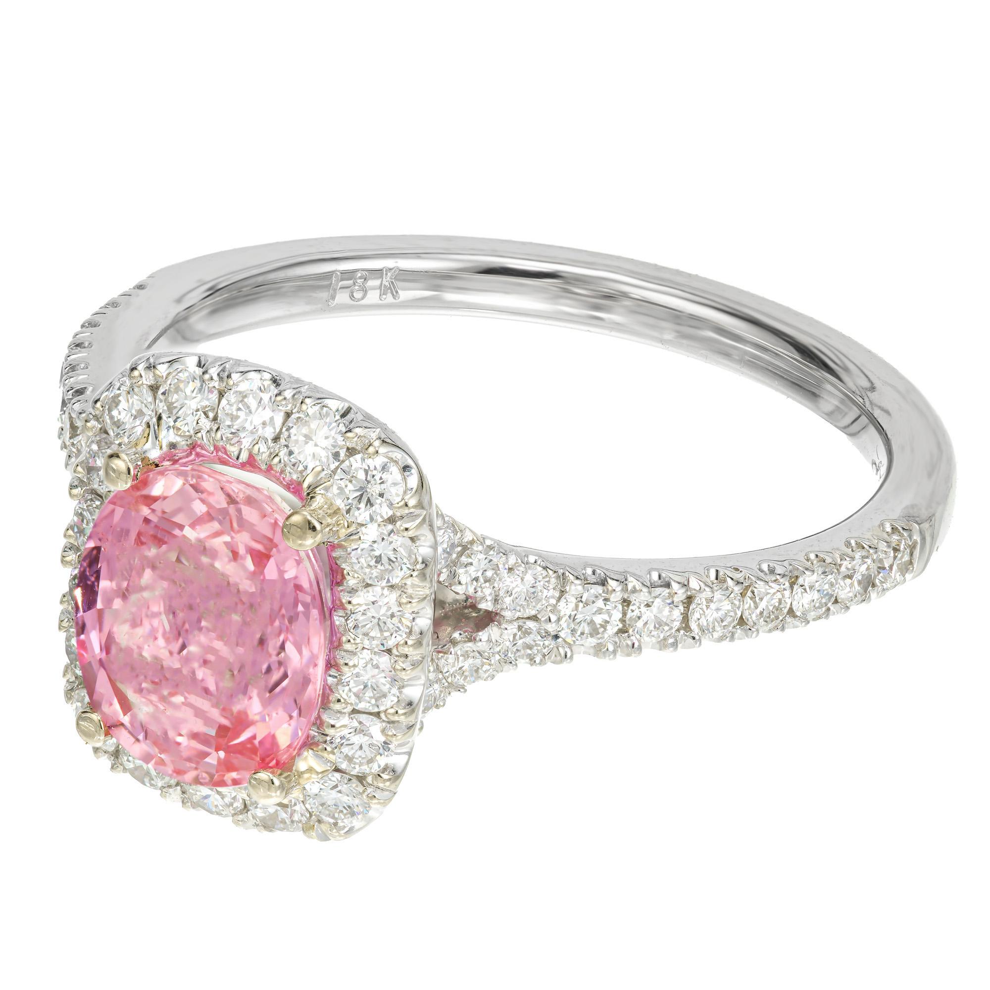 Hot pink natural no heat oval pink Sapphire and diamond engagement ring. GIA certified oval center sapphire with 44 round cut accent diamonds in a custom made halo 18k white gold setting from the Peter Suchy Workshop.

1 oval bright pink natural