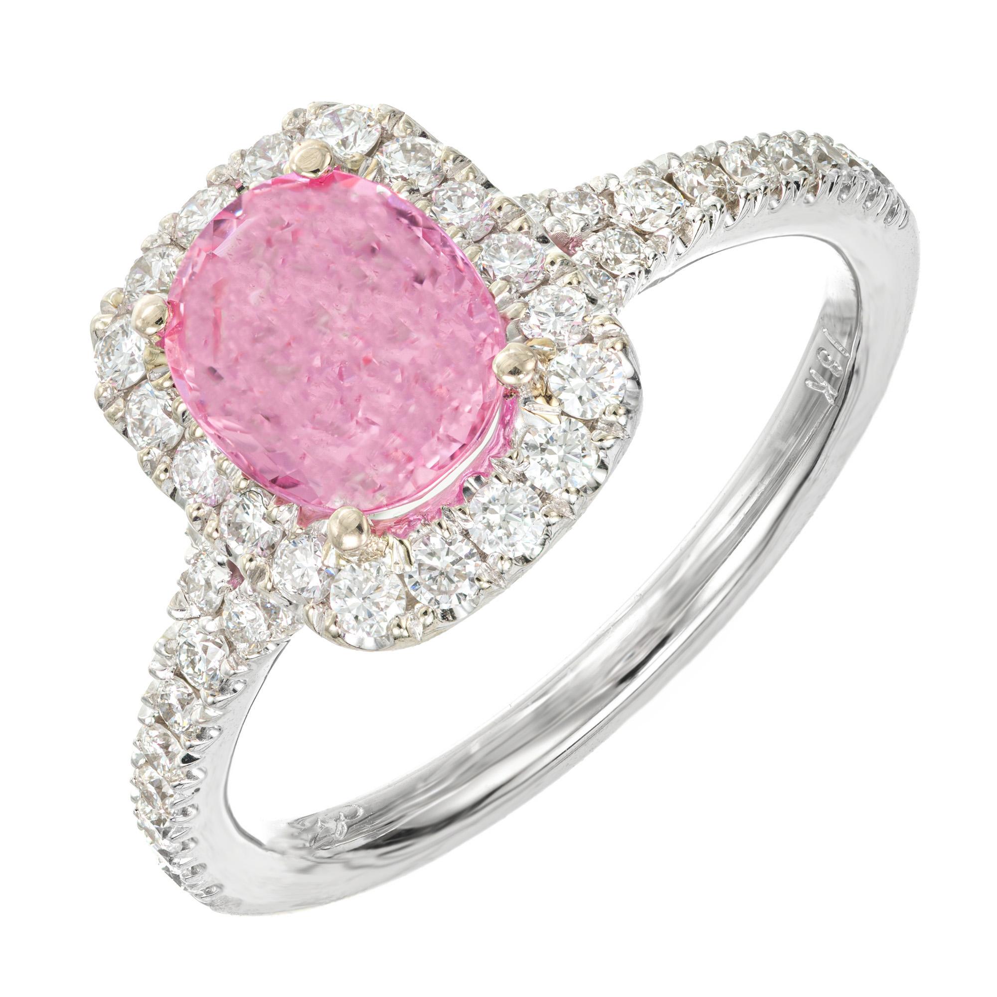 Taille ovale Bague de fiançailles Peter Suchy en or avec saphir rose vif 1,58 carat et halo de diamants  en vente
