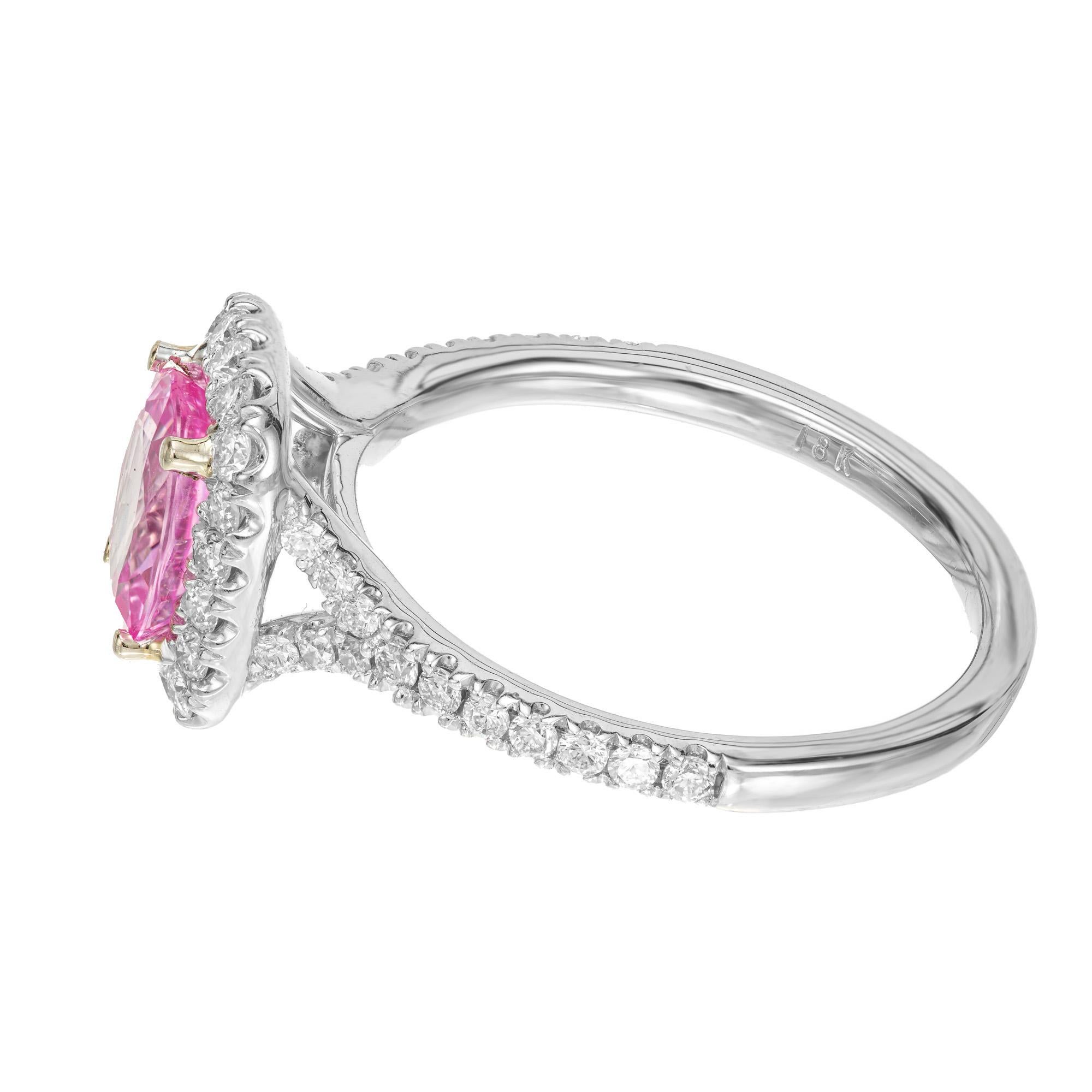 Bague de fiançailles Peter Suchy en or avec saphir rose vif 1,58 carat et halo de diamants  Pour femmes en vente