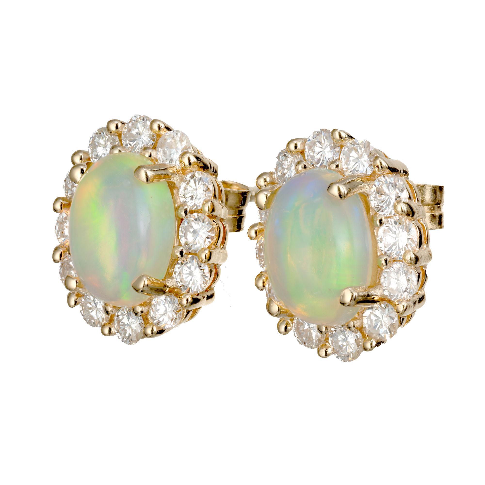 Opal and diamond halo earrings. 2 oval cabochon opals with red, blue and green flash set in 14k gold baskets , each with a halo of round brilliant cuts diamonds. Designed and crafted in the Peter Suchy workshop.

2 cabochon opals, approx. 1.71cts
24