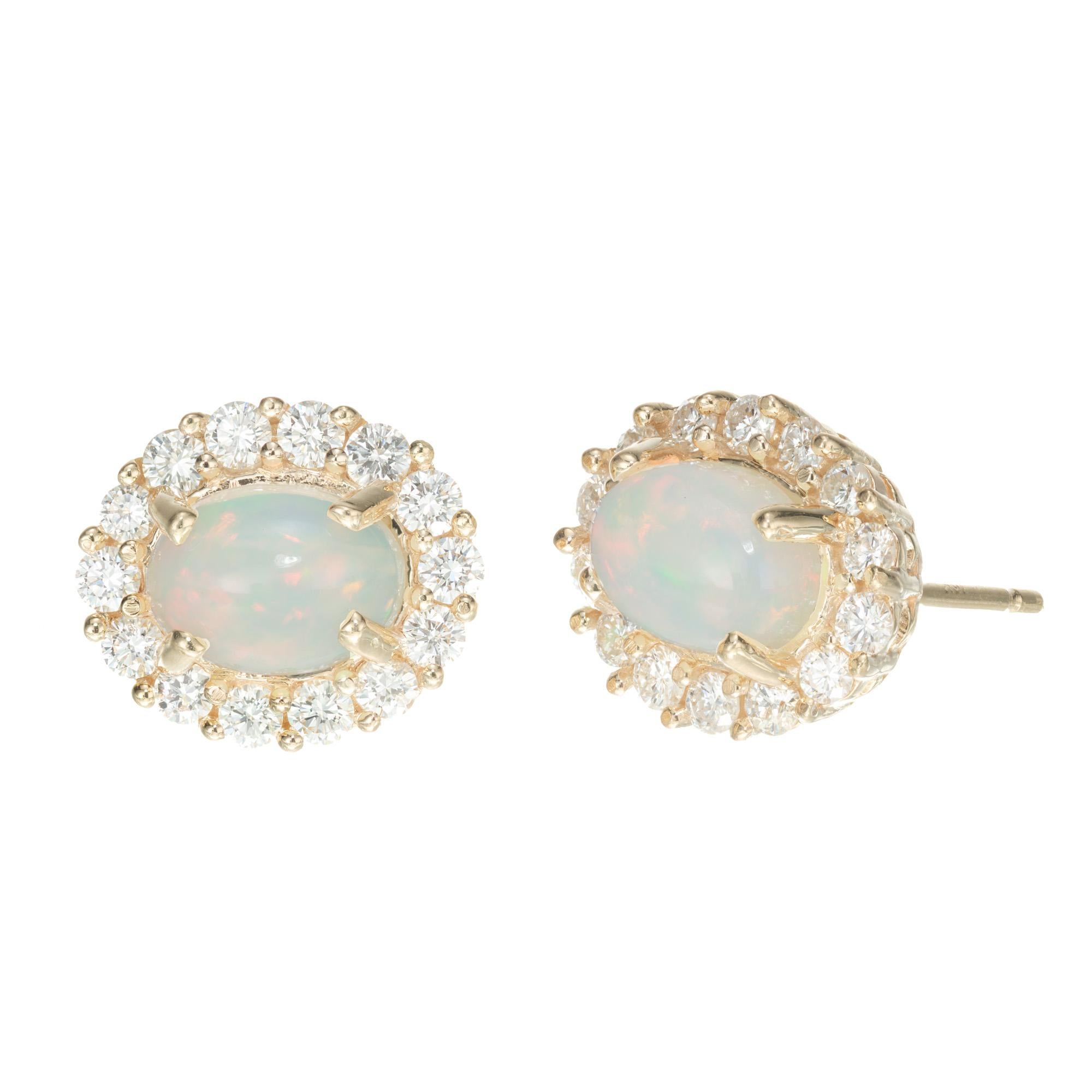 Translucent oval red green blue opal and diamond earrings. 2 oval cabochon opals totaling 1.91cts, set in 14k yellow gold settings each with a halo of round brilliant cut diamonds. Designed and crafted in the Peter Suchy Workshop.

2 oval cabochon