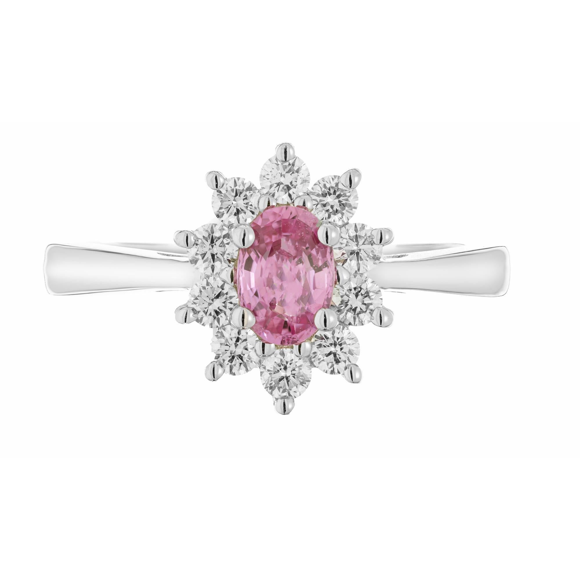 Pink Sapphire and Diamond halo gold engagement ring. The center piece of the ring is a .62cts oval pink sapphire that is mounted in a 14k white gold setting, accented by a halo of 10 round brilliant cut diamonds. The sapphire has a beautiful
