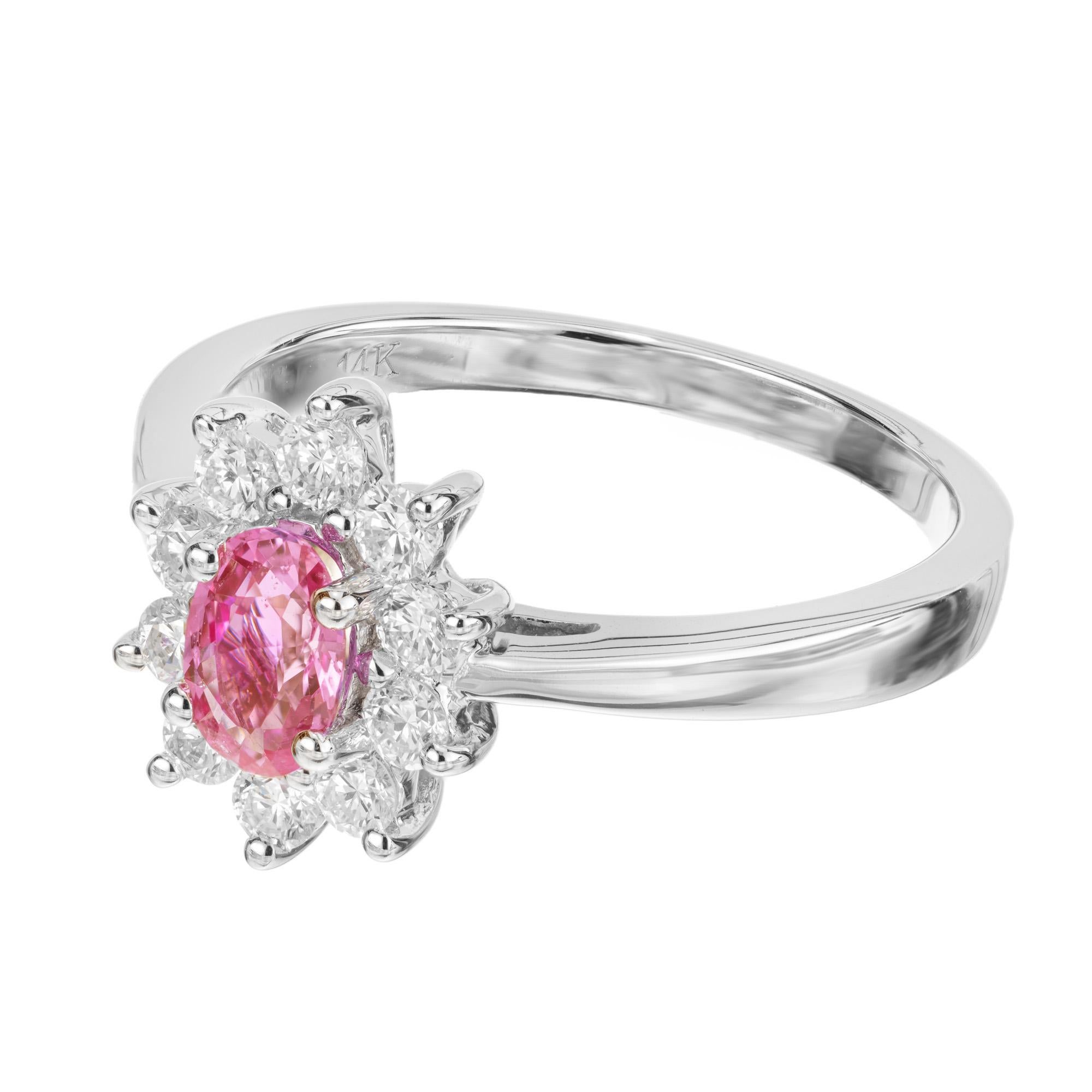 Oval Cut Peter Suchy .62 Carat Oval Pink Sapphire Diamond Halo Gold Engagement Ring  For Sale