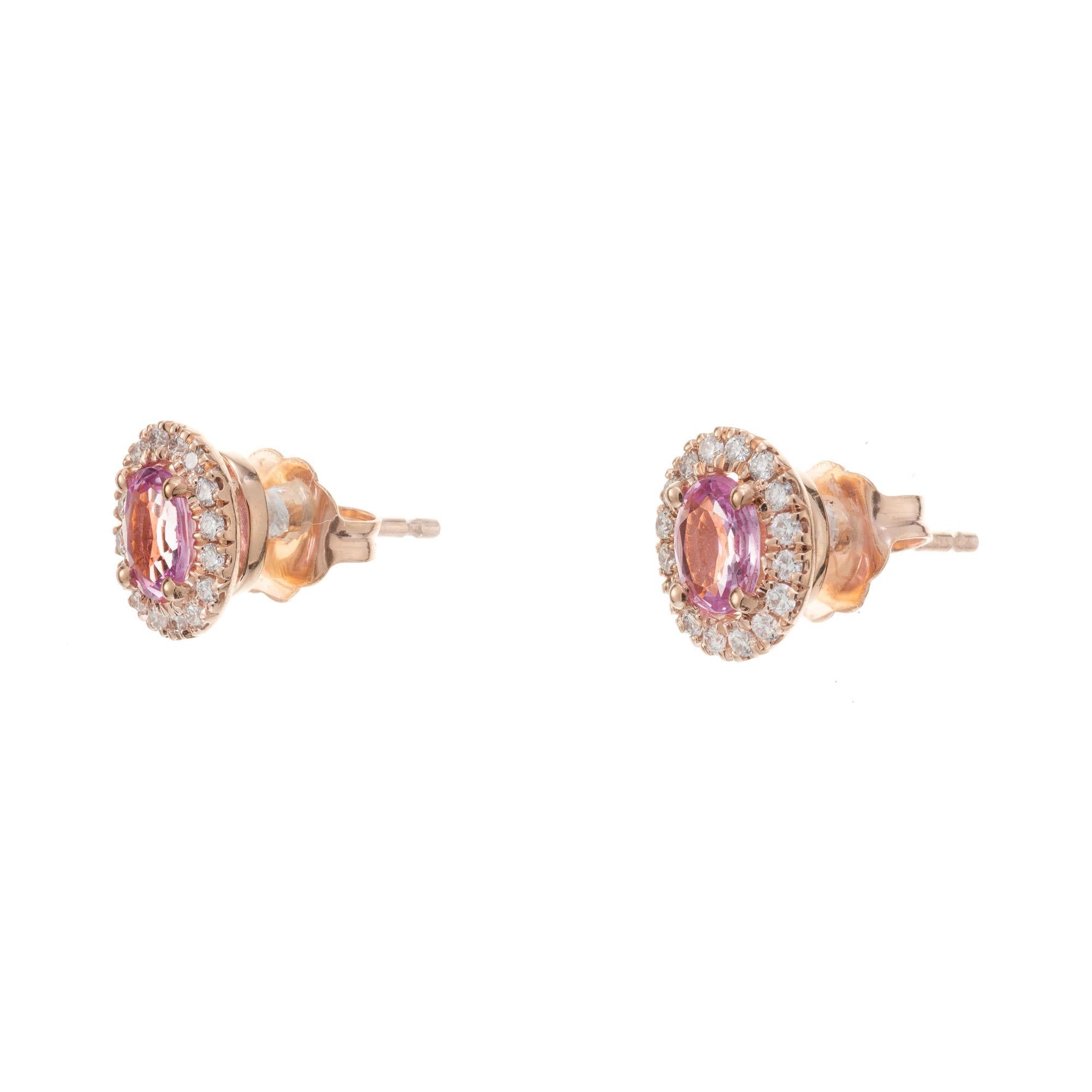 Natural pink sapphire a diamond stud earrings. 2 oval pink sapphires with a halo of round brilliant cut diamonds set in 14k rose gold baskets. Designed and crafted in the Peter Suchy workshop 

2 oval pink sapphires, SI approx. .75cts
32 round