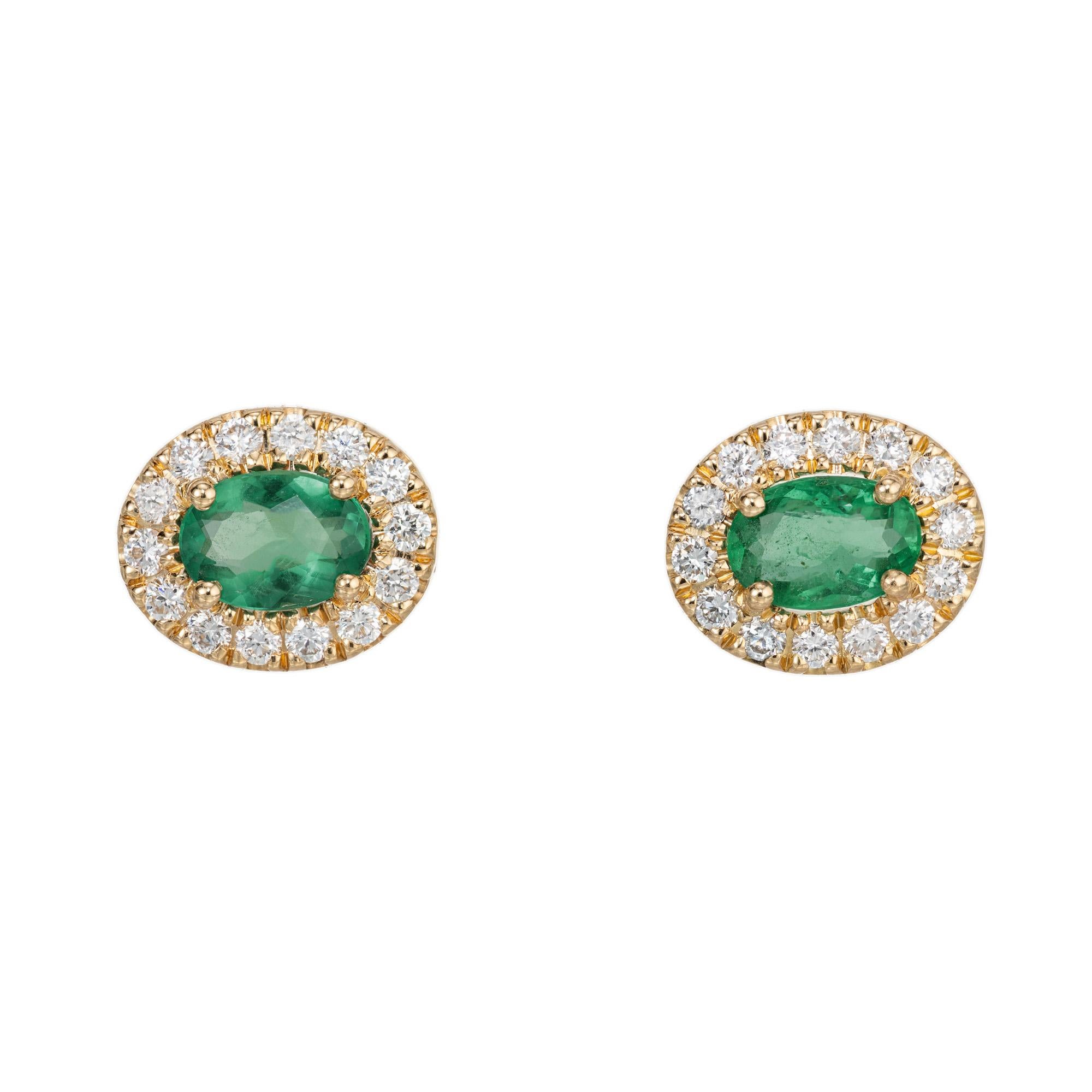 Smaragd und Diamant-Ohrring. 2 ovale hellgrüne Smaragde mit insgesamt 0,81 ct. in einer Fassung aus 18 Karat Gelbgold. Jeder Edelstein ist mit einem Halo aus 14 runden weißen Diamanten im Brillantschliff besetzt. Entworfen und hergestellt in der