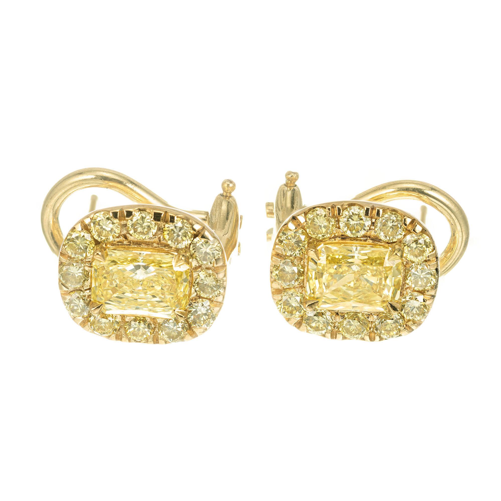 Peter Suchy natural fancy Intense yellow diamond earrings. GIA certified center diamonds surrounded by a row of fancy intense yellow round diamonds in hand made 18k yellow gold clip and post settings. Created in the Peter Suchy Workshop. 

1