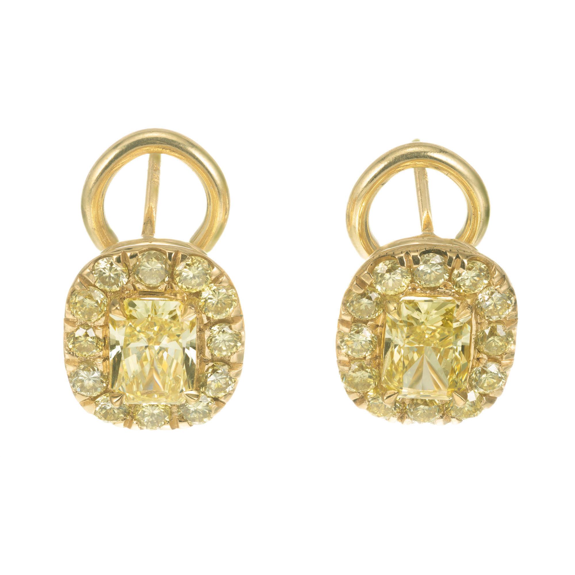 Peter Suchy GIA 1.19 Carat Certified Yellow Diamond Yellow Gold Earrings In New Condition In Stamford, CT