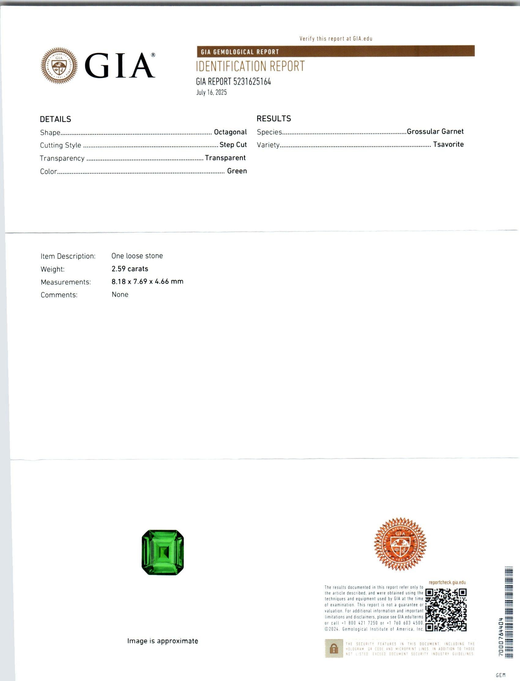 Peter Suchy GIA 2.59 Carat Octogonal Tsavorite Garnet Diamond Engagement Ring In New Condition For Sale In Stamford, CT