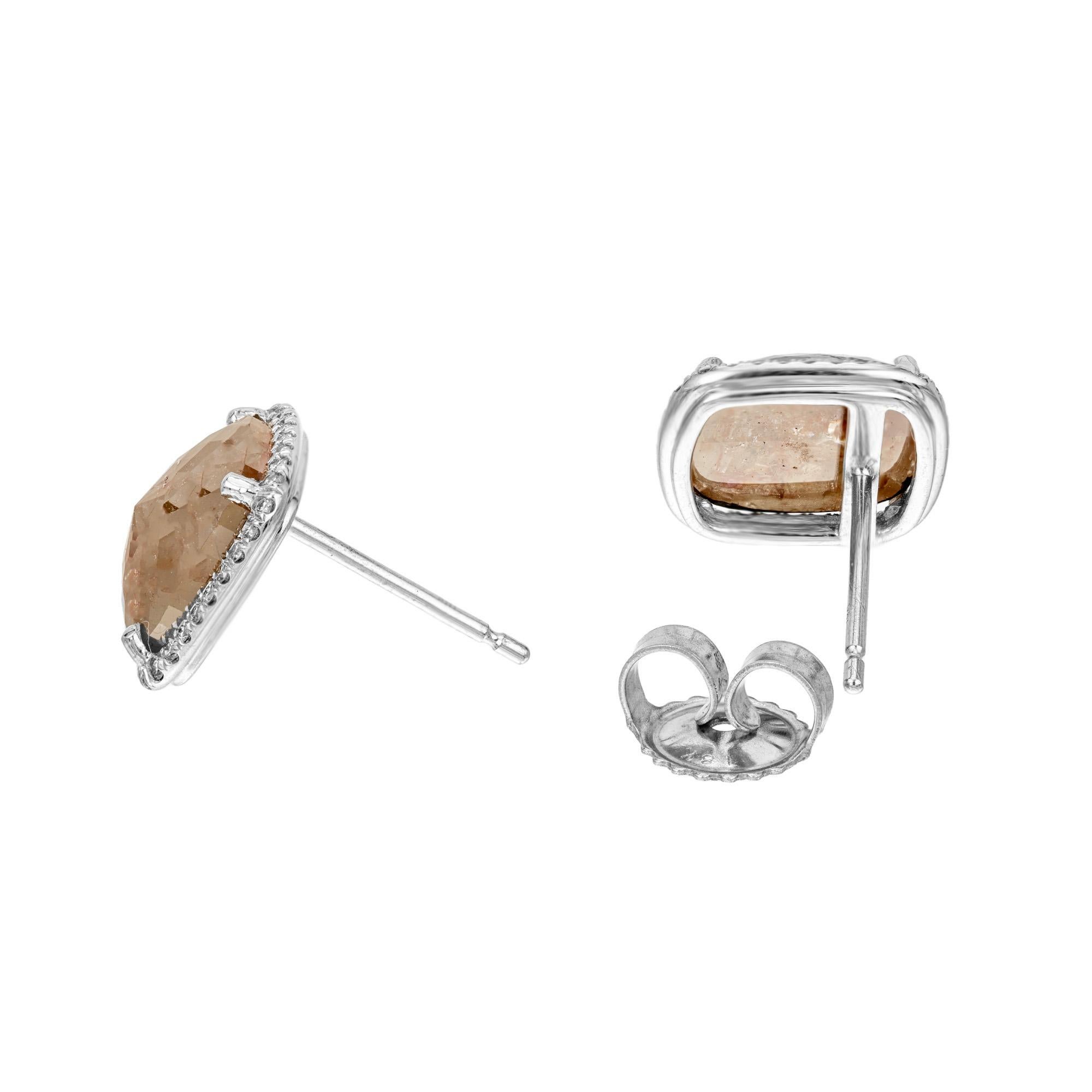 aquamarine starfish earrings scene
