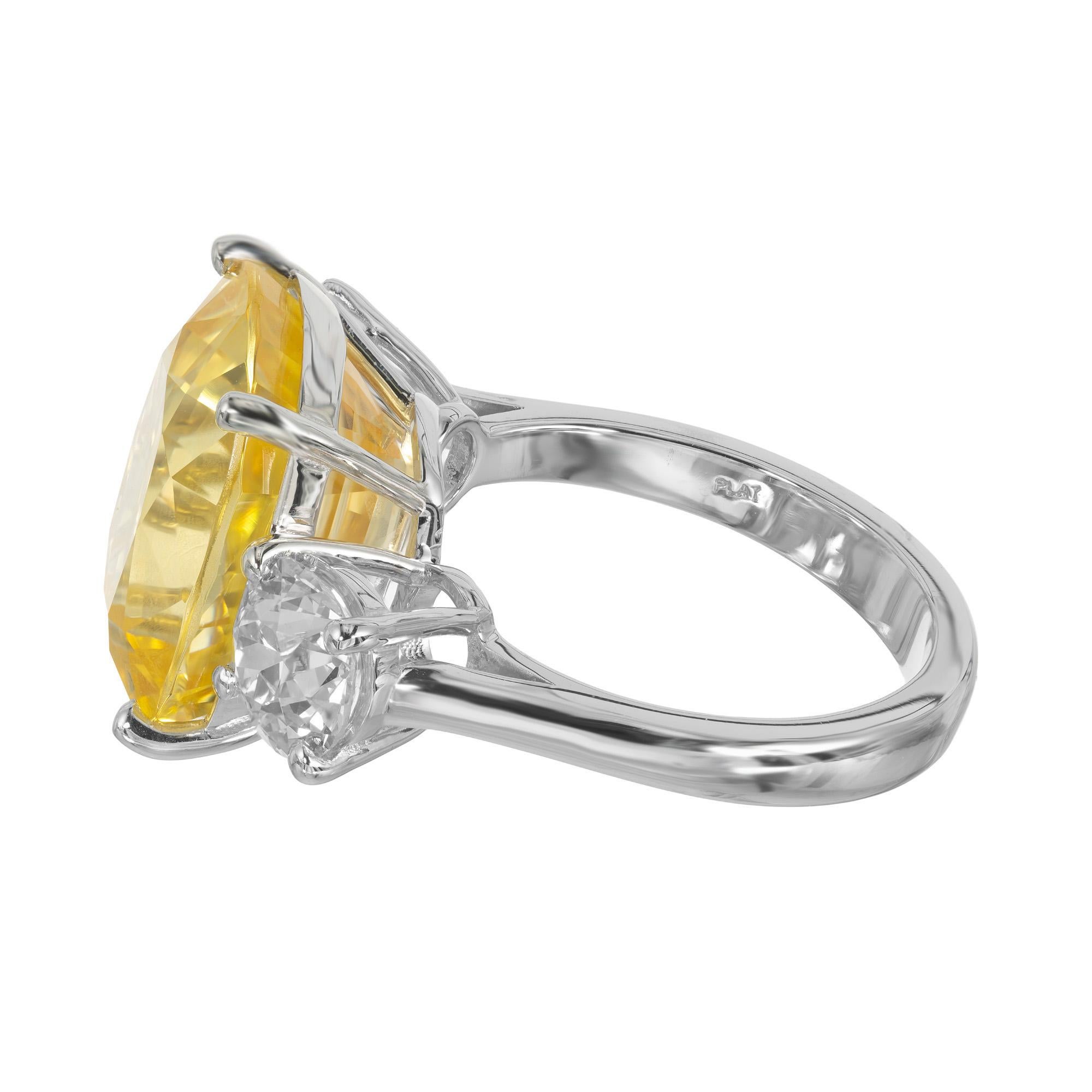 Bague de fiançailles en platine avec diamant saphir de 13.70 carats de Peter Suchy, certifiée par le GIA en vente 1